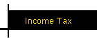 Income Tax